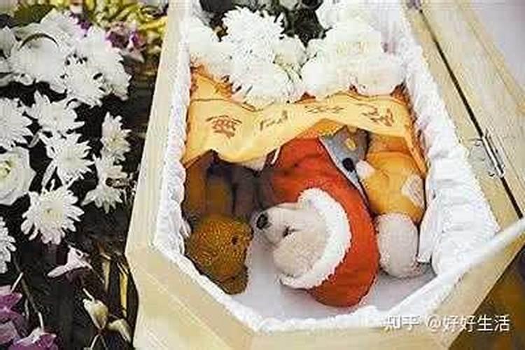 梦见狗死了挖坑埋葬