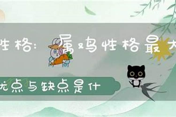 属鸡人的优点