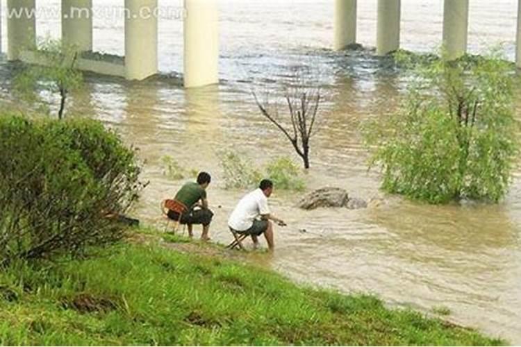 梦见大雨大河水很深