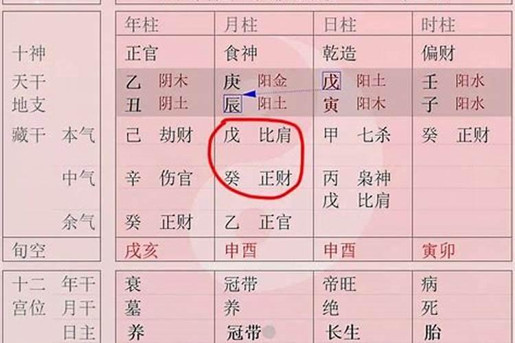 属狗和属免八字合不合