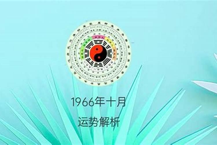 1966年十月初五出生的运势