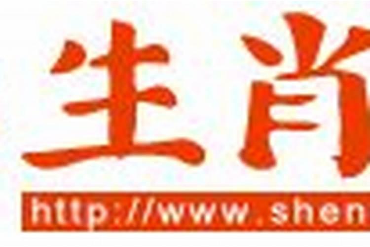 2006年属狗人学业如何