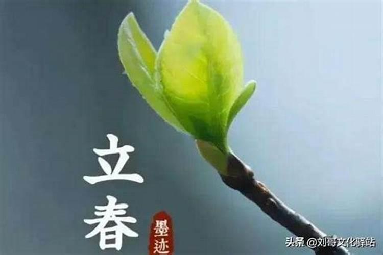 24节气里面的立春是什么意思