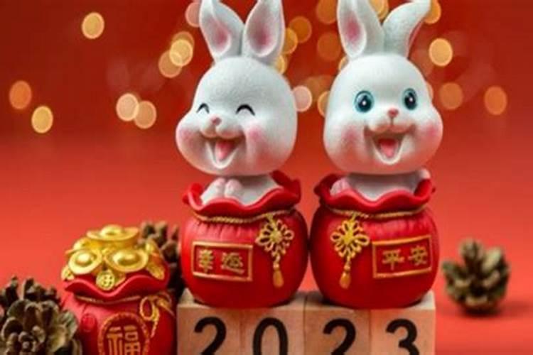 属兔今年忌讳什么