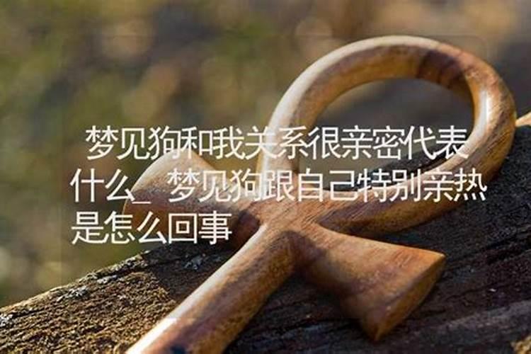 梦见大狗和我很亲密什么意思