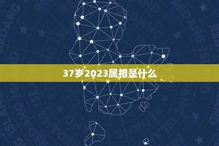 37岁属相2021