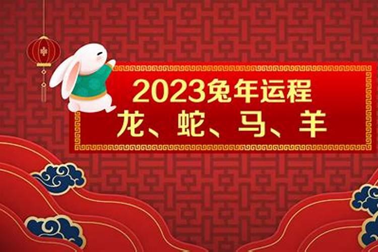 兔年运势2022年运势12生肖