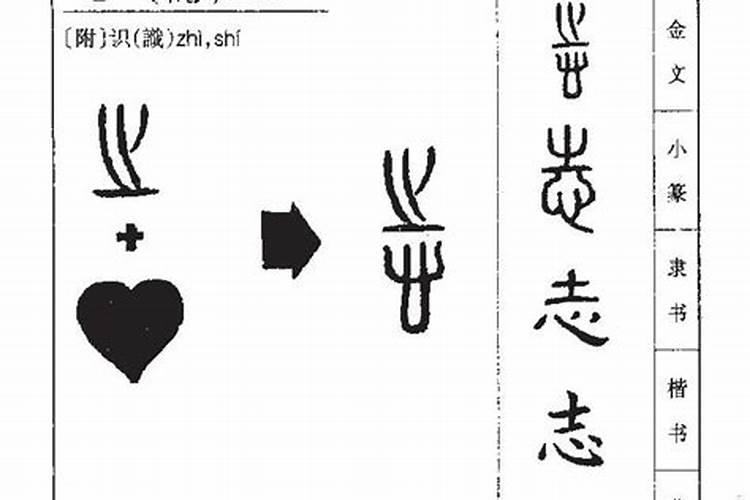 志属于五行属什么意思