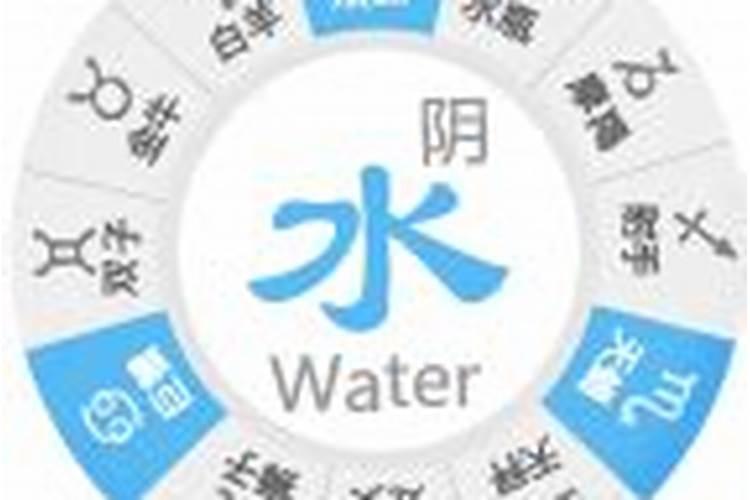 水象星座王者