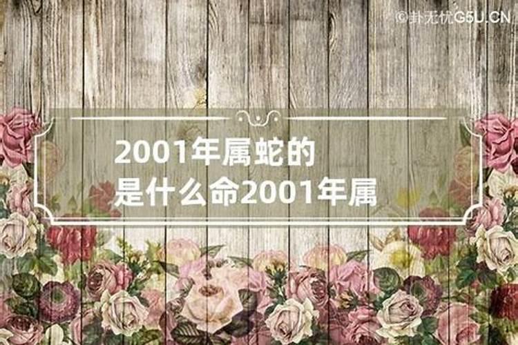 2001年是什么属什么的