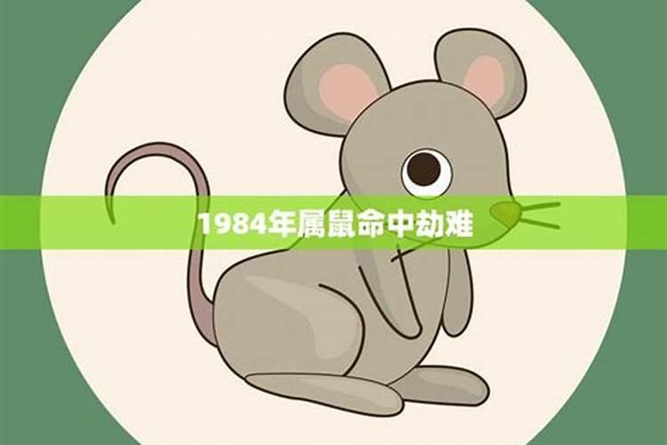 1984年属鼠人一生劫难