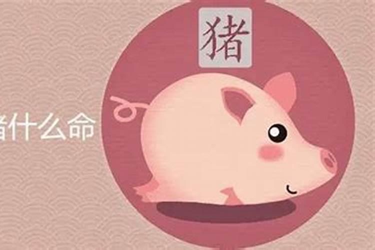 属猪人今年适合创业吗