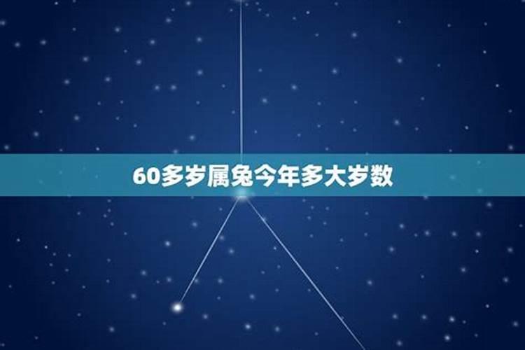 60岁属兔多大