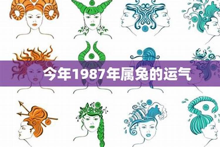 属兔的运势在2021年的运势怎样