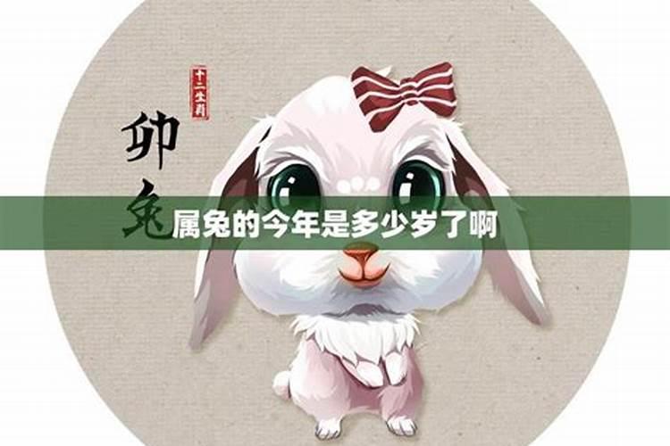 属兔的今年4月运程