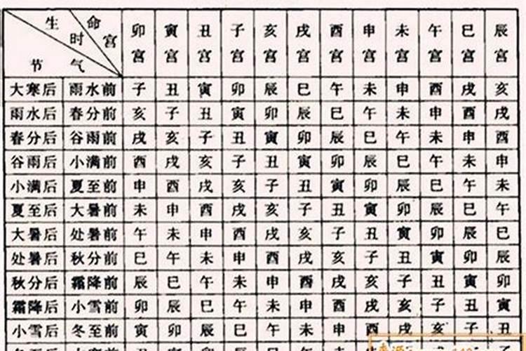 八字十二宫详解