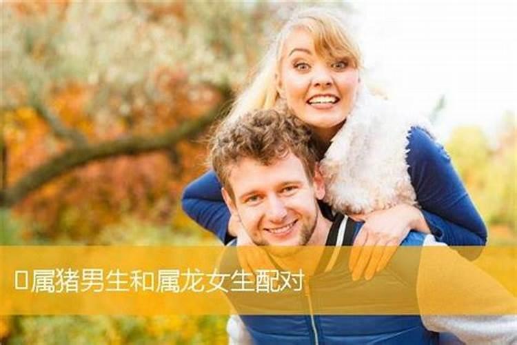 生肖龙女人的爱情忠诚度