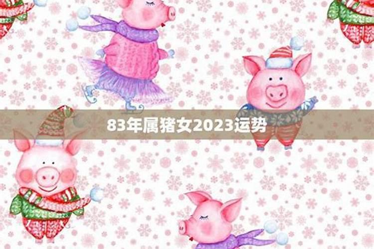 鼠年农历11月26号出生的人运势如何