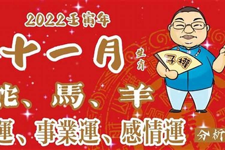 女狗男兔八字合不合