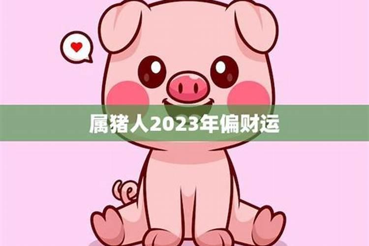 2023年属猪的好不好？