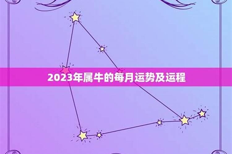 2023年运程十二星座运程