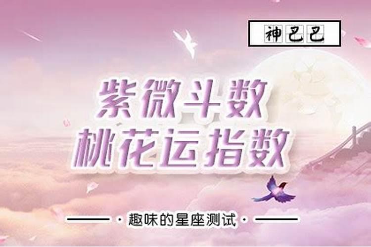 测桃花运免费算桃花运wx