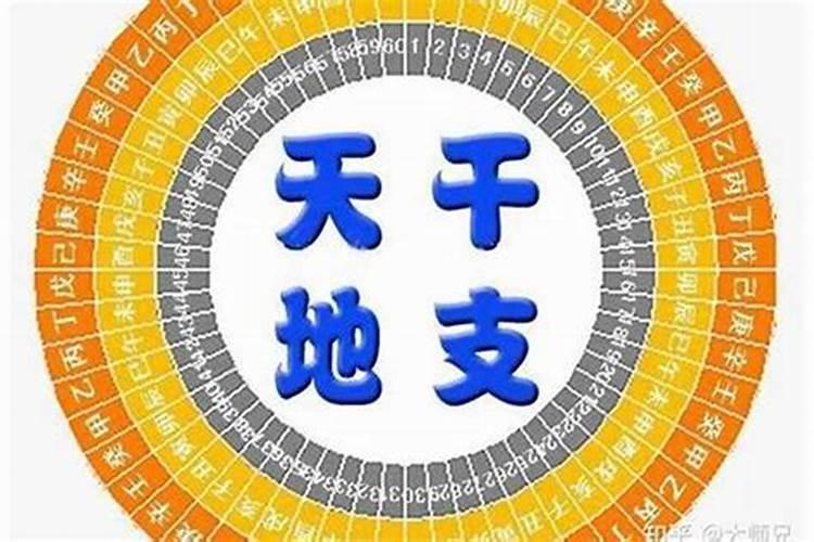 八字日干相合