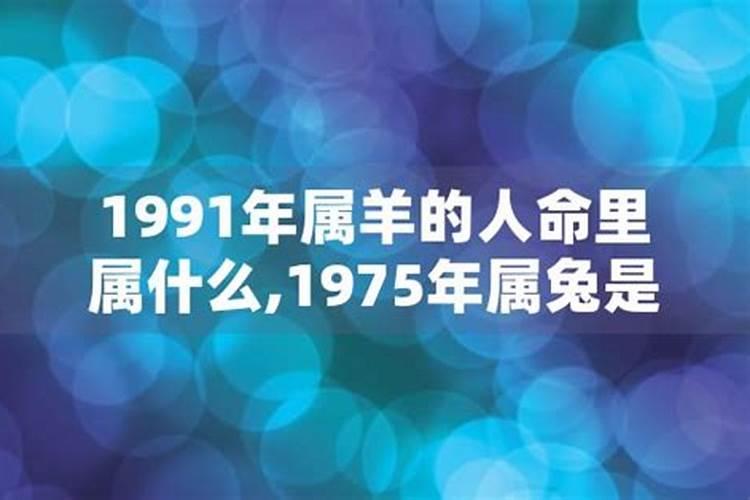 91年属兔运势如何