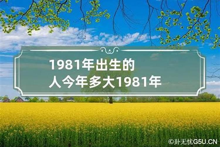 1981年的人今年的运势如何