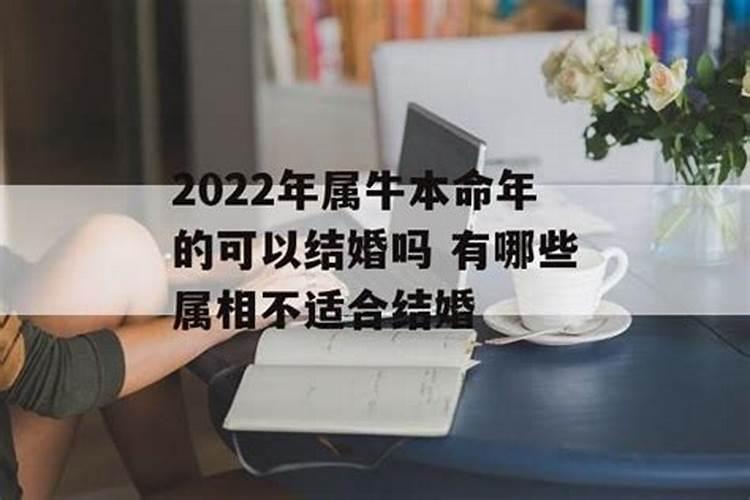 2022年属牛的能结婚吗