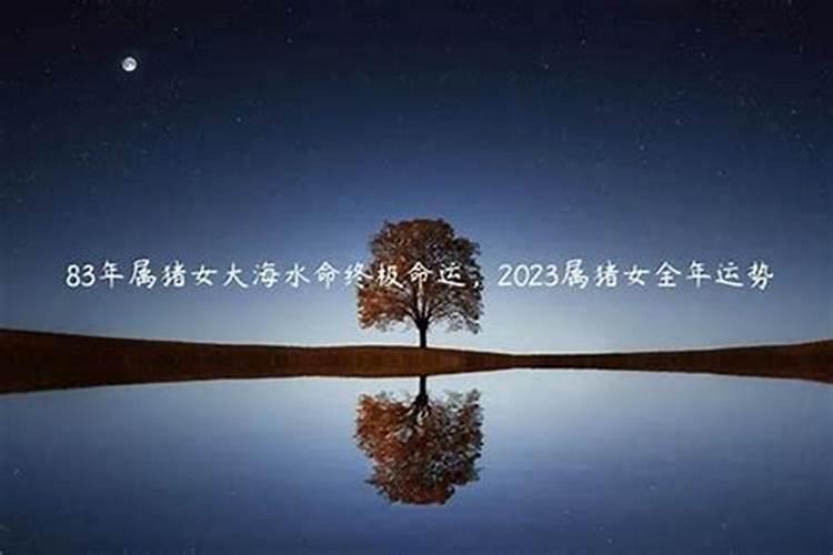 2020年出生的孩子是属什么的