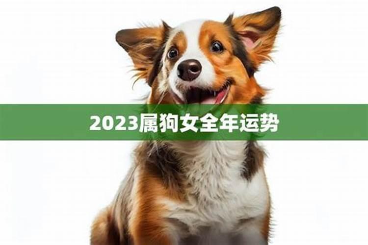 属狗之人2023年运势如何