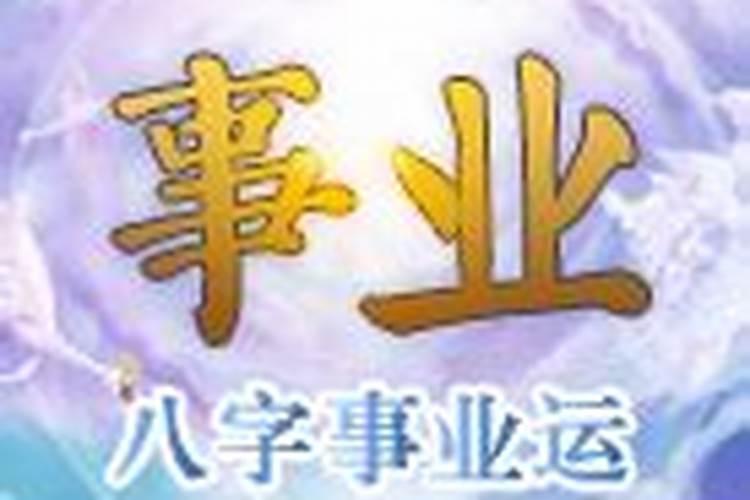 八字测算注册什么公司