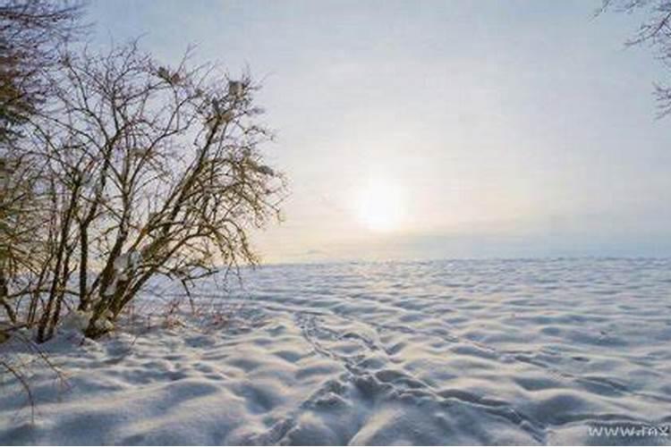 梦见雪地是什么征兆周公解梦