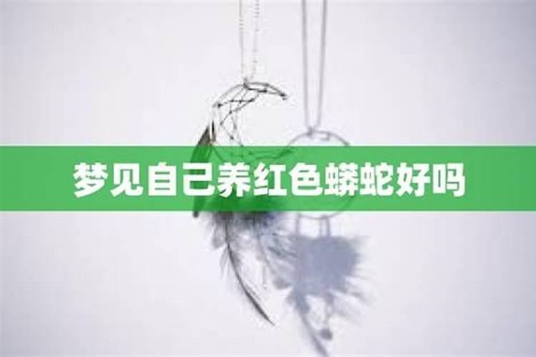 梦见红颜色是什么意思