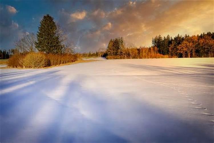 梦见雪地是什么征兆啊