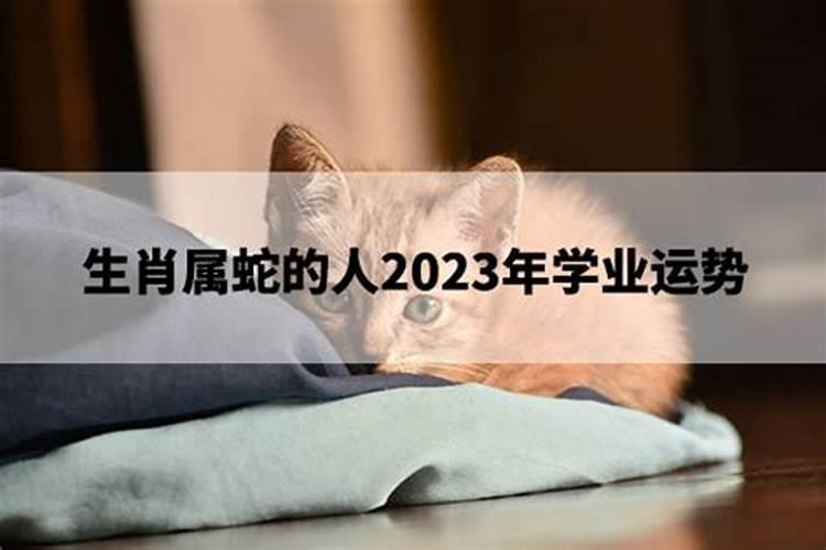 2001年属蛇人2023年学业