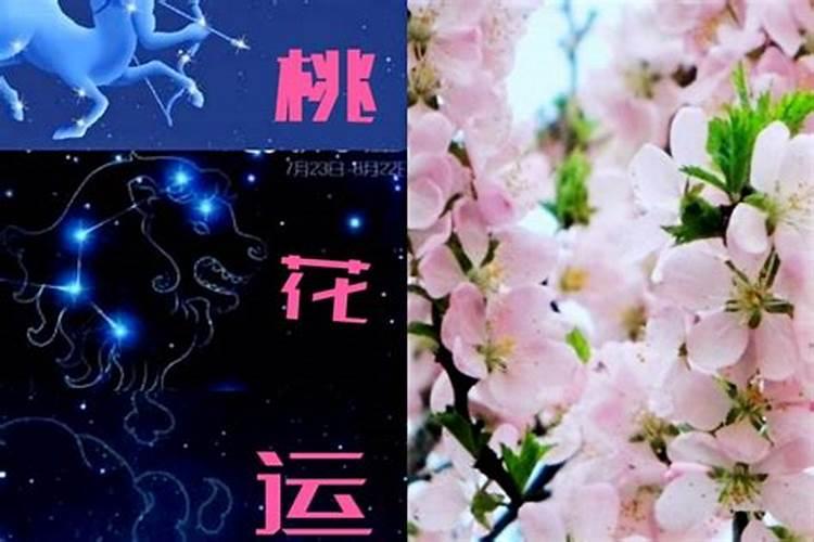 金牛女今年桃花运势