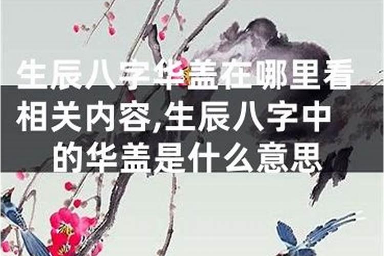 华盖在八字中代表什么意思