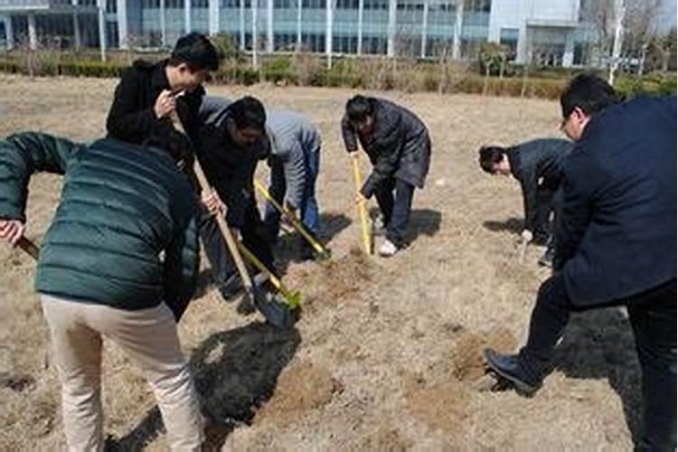 梦见别人铲土预示着什么