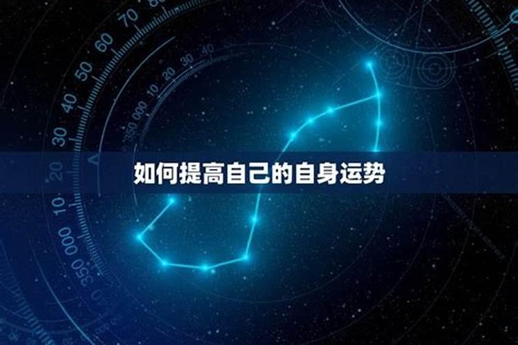 处女男和12星座女的关系怎样呢