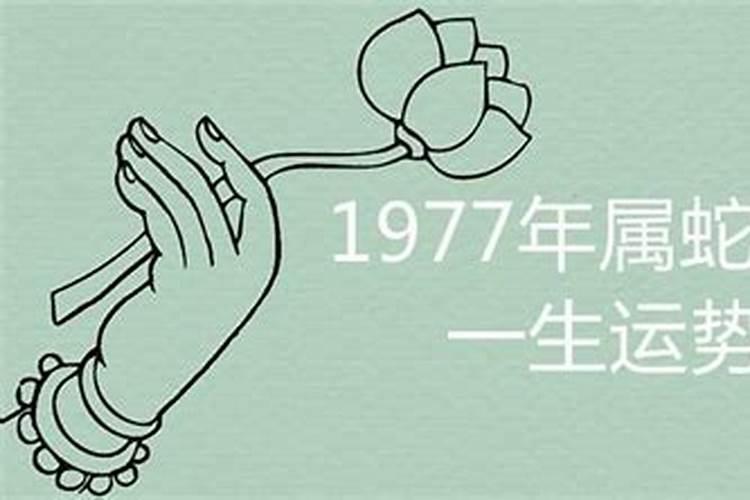 1977年出生的人运程婚姻