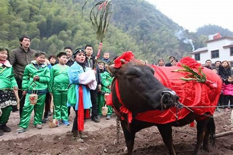 衢州九华立春祭祀