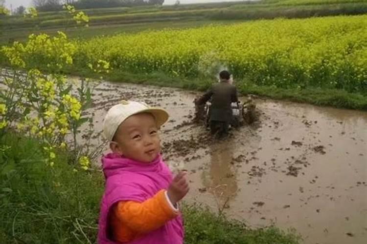 梦见回到老家村里