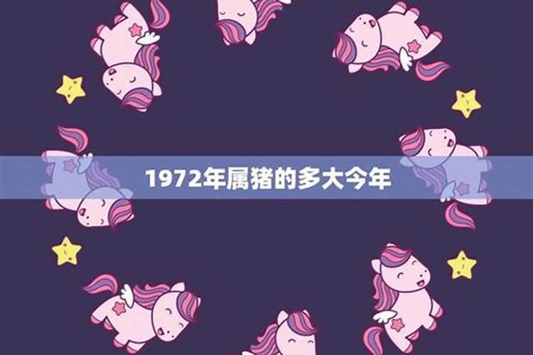 1972猪今年的运势如何