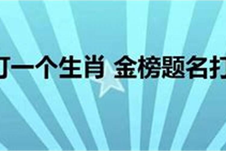 出生入死意思打一生肖