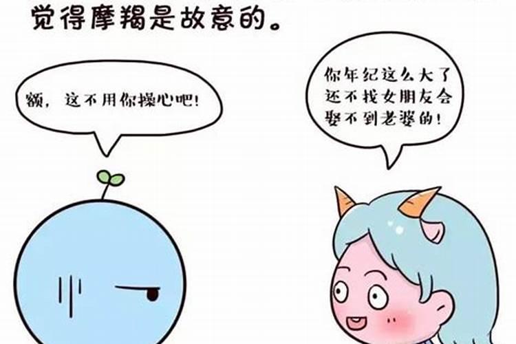 哪个星座会伤你的心