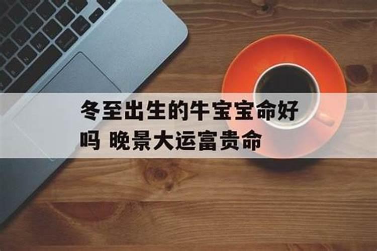 冬至出生的牛宝宝运气不好