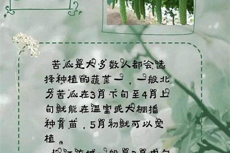 清明前后种瓜点豆的意思