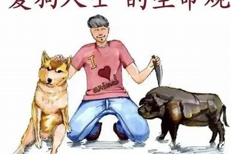 本命年虎能吃狗肉吗